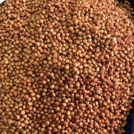 ce-sorghum-red2
