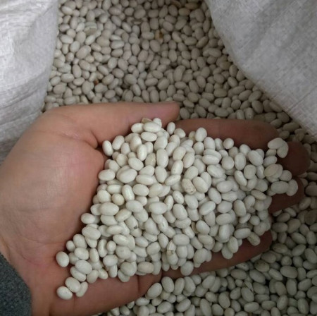 pu-beans-white2