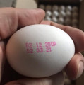 thumb_1302clone_fo-eggs