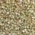thumb_ce-buckwheat-kernel